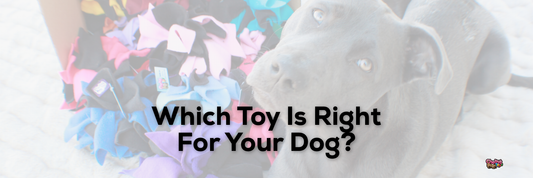 Which Toy Is Right For Your Dog?