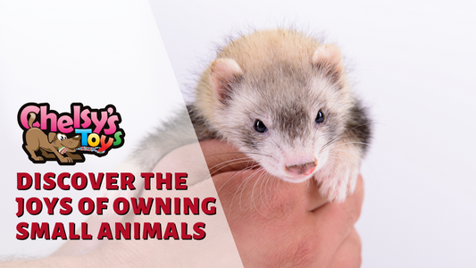 Discover the Joys of Owning Small Animals: From Burrowing to Enrichment