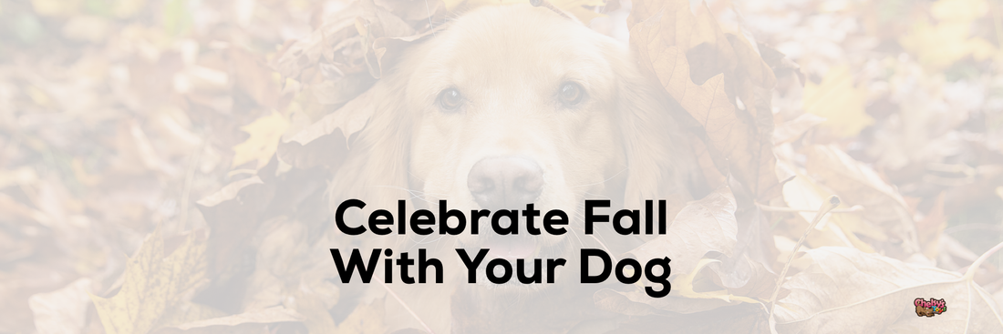 Celebrate Fall With Your Dog