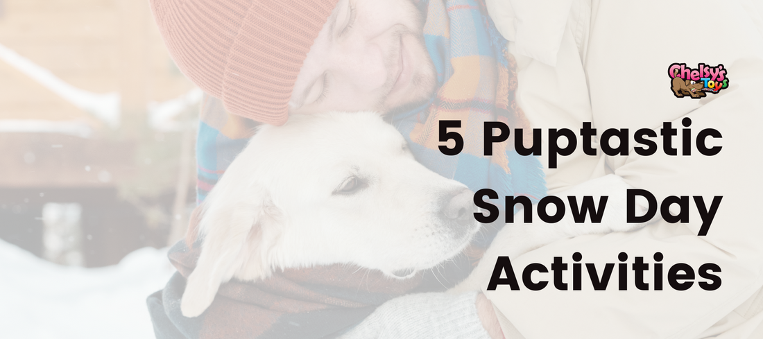 5 Puptastic Snow Day Activities