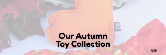 Our Autumn Toy Collection