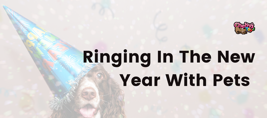 Ringing In The New Year With Pets