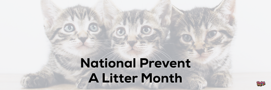 National Prevent A Litter Month