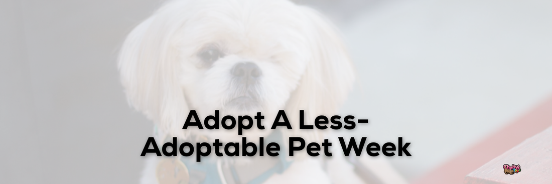 Adopt A Less-Adoptable Pet Week