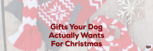 Gifts Your Dog Actually Wants For Christmas