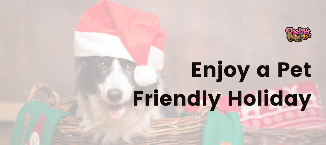 Enjoy a Pet Friendly Holiday
