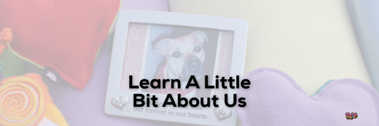 Learn A Little Bit About Us