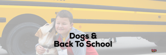 Dogs & Back To School