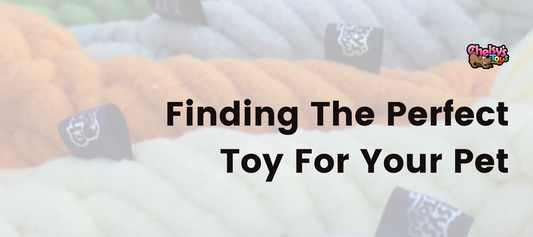 Finding The Perfect Toy For Your Pet