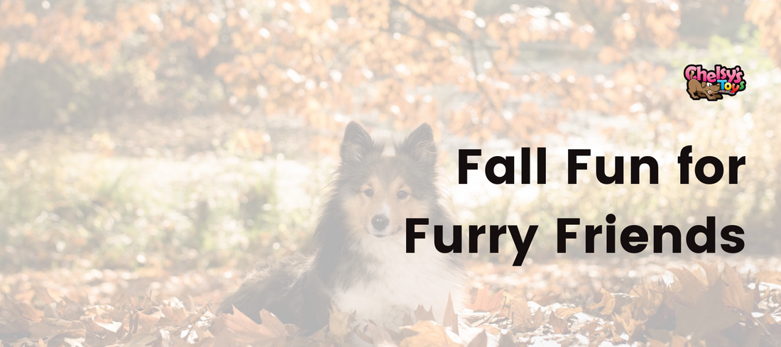 Fall Fun for Furry Friends
