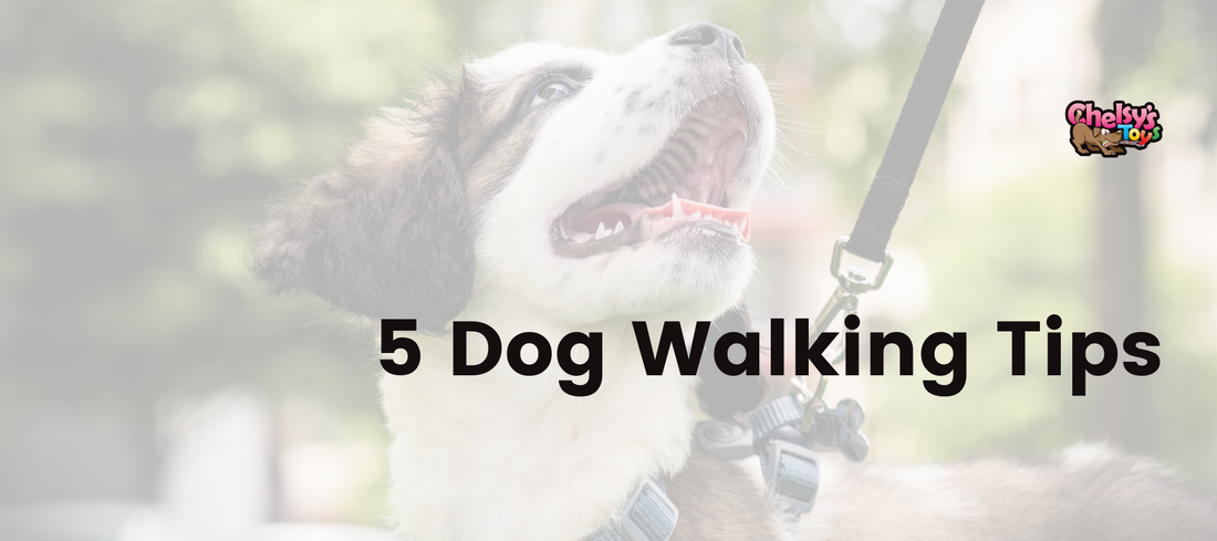 5 Dog Walking Tips