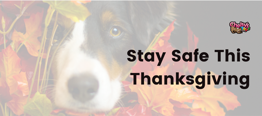 Stay Safe This Thanksgiving