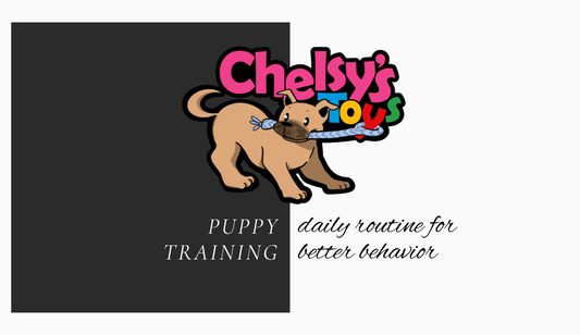 Puppy Daily Routine for Better Behavior