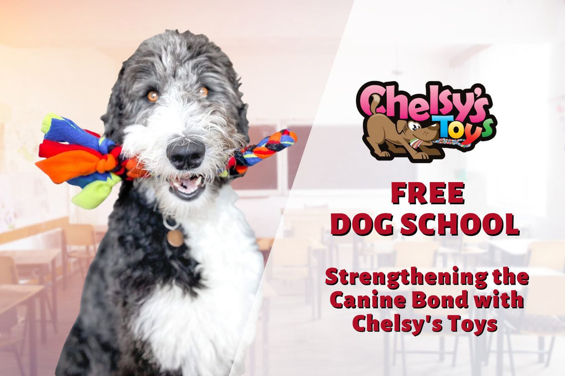Introducing Our Free Dog School: Strengthening the Canine Bond with Chelsy's Toys