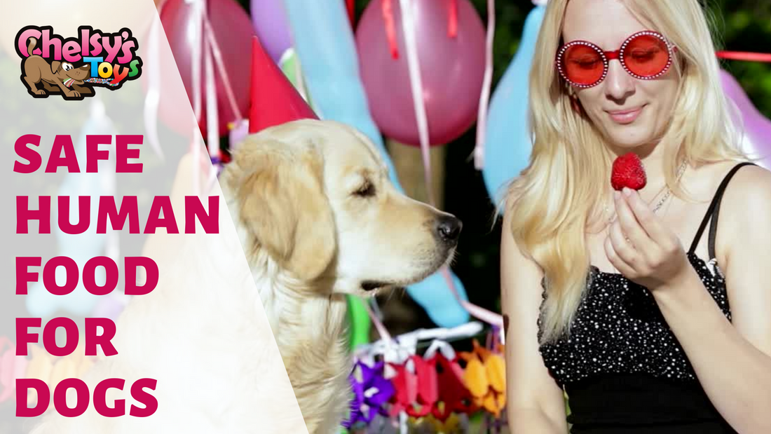 Best human 2024 food for dogs