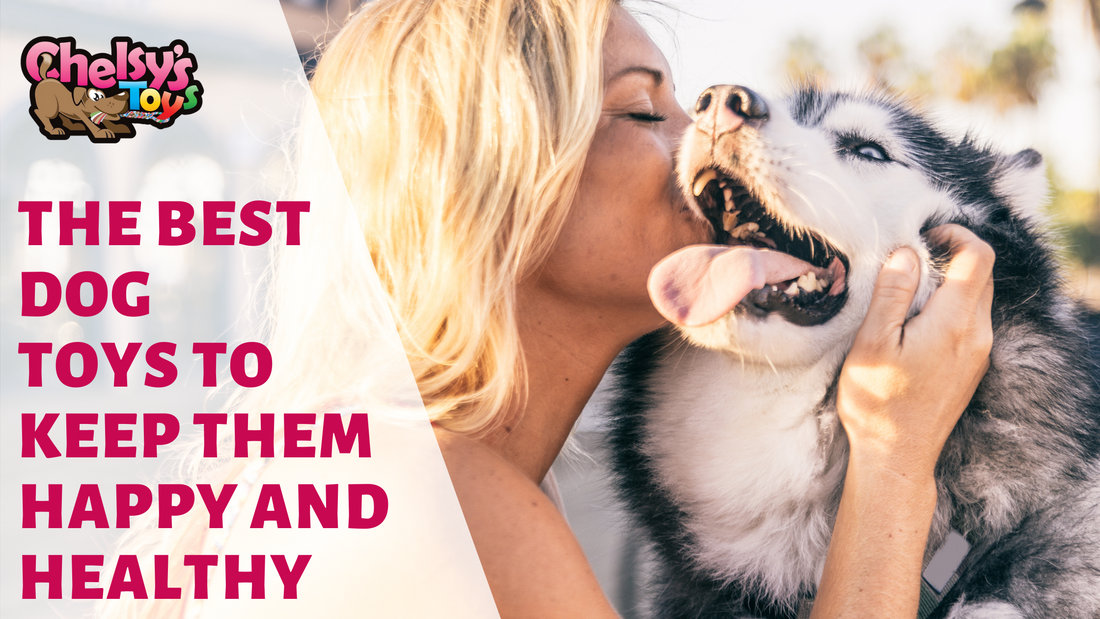 The Best Dog Toys To Keep Them Happy and Healthy