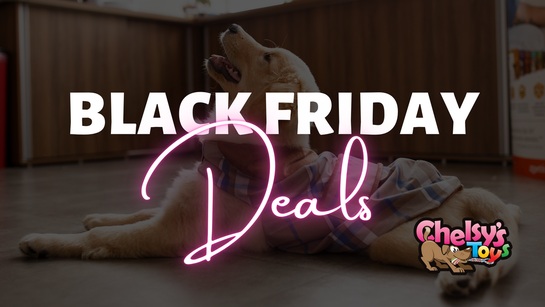 Black Friday Deals at Chelsy's Toys