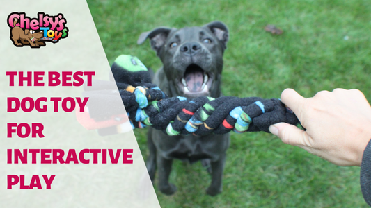 Product Feature: Chelsy's Toys Original Tug Toy