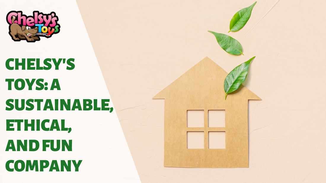 Chelsy's Toys: A Company that is Sustainable, Ethical, and Fun