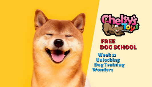 Chelsy's Toys FREE DOG SCHOOL: Week 2 Unlocking Dog Training Wonders