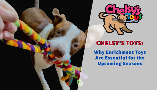 Chelsy’s Toys: Why Enrichment Toys Are Essential for the Upcoming Seasons