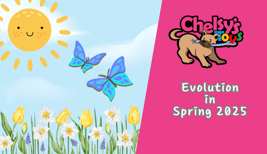 Chelsy's Toys Evolution: New Sales Channels & Enhanced Partnerships