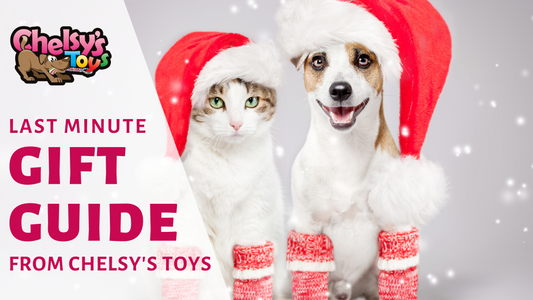 Don't Panic! Last Minute Holiday Gift Guide for Your Dog and Cat from Chelsy's Toys