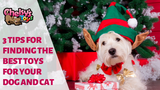 3 Tips for Finding the Best Toys for Your Dog and Cat