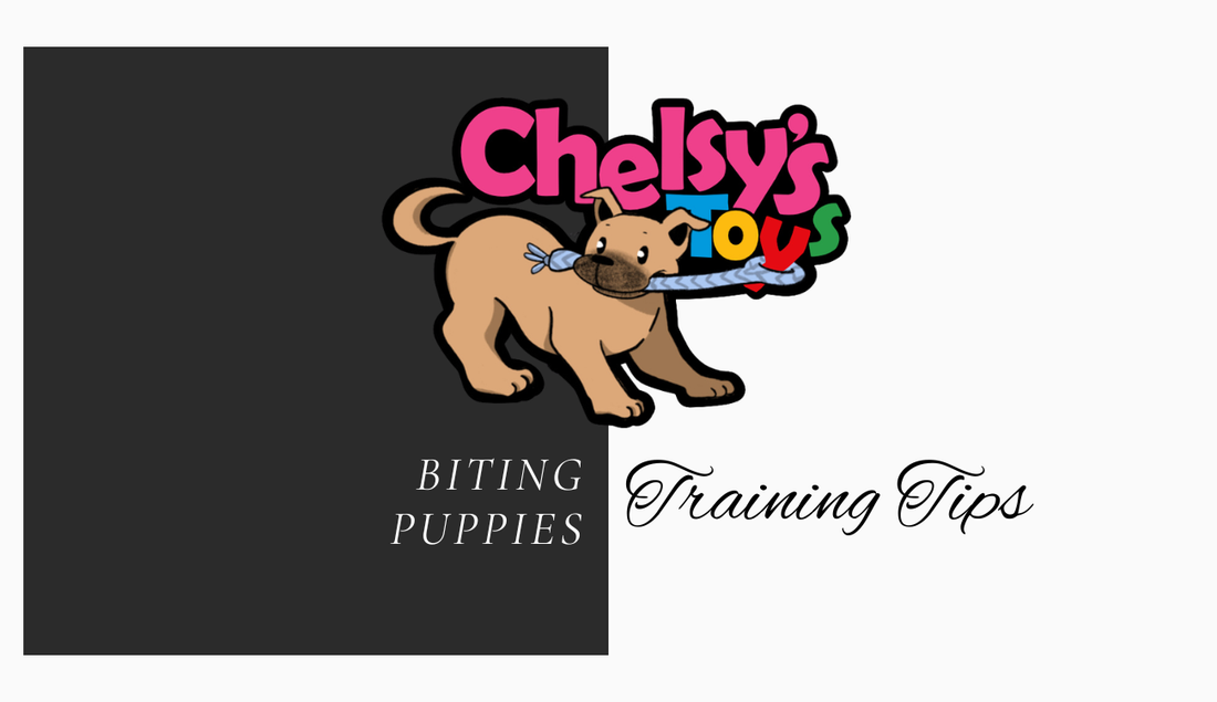 How to Train Your Puppy to Stop Biting by Choosing Toys Instead