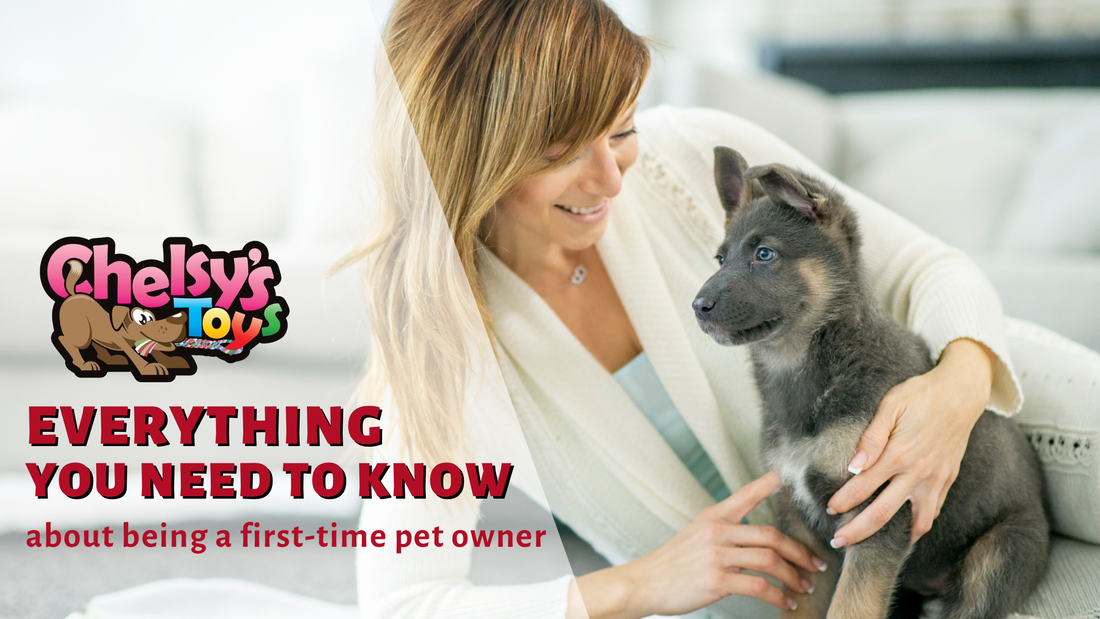 Everything you need to know about being a first time pet owner.