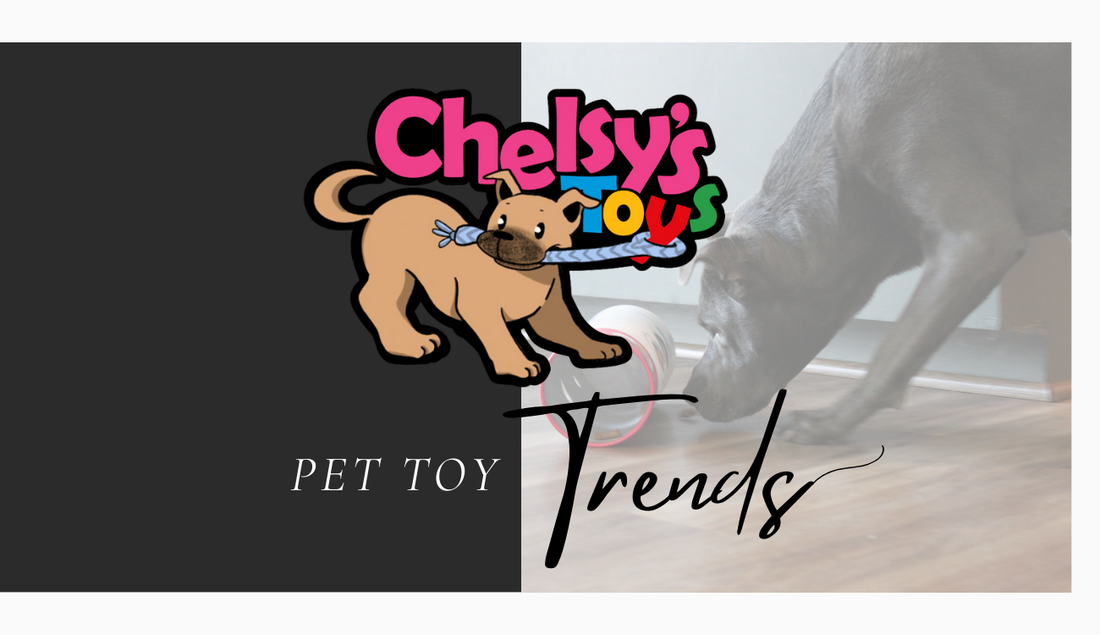 2025’s Top Pet Toy Trends: Why Enrichment Is More Than Just Playtime