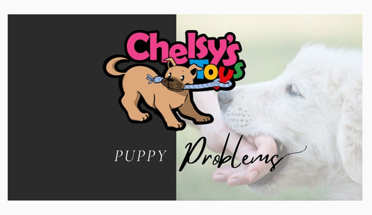 Puppy Problems? 7 Days of Training Tips & Behavior Solutions Every New Dog Parent Needs