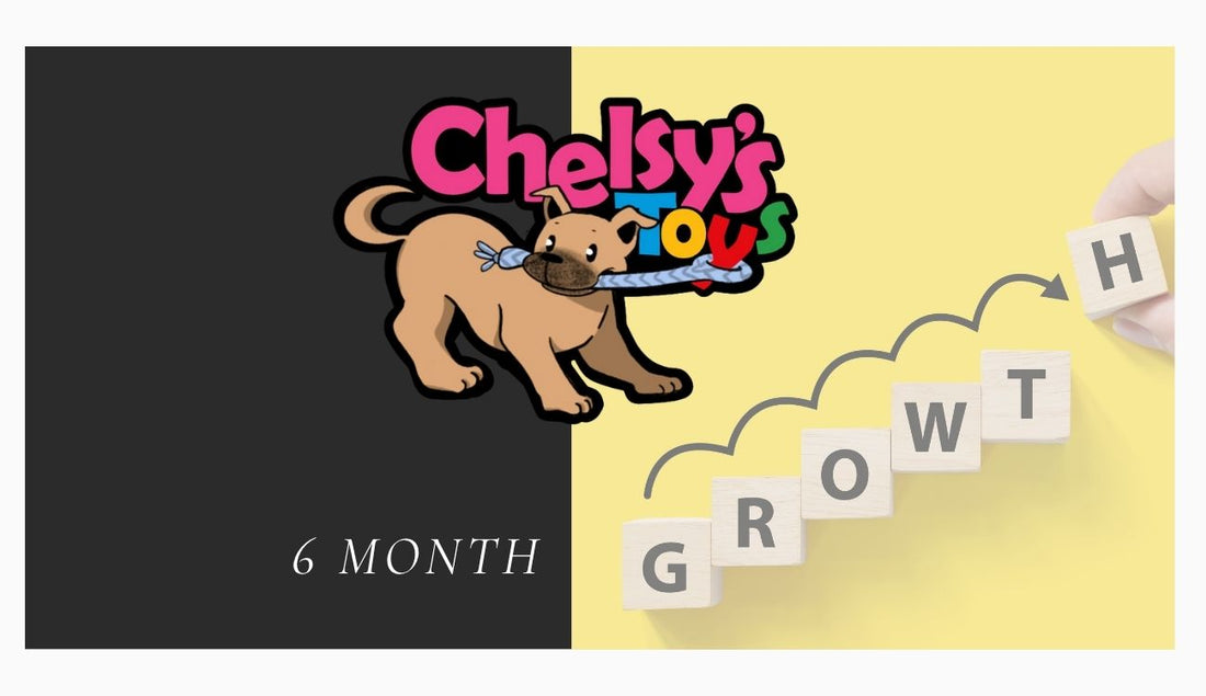 🎉 6 Months of Enrichment & Growth! 🎉