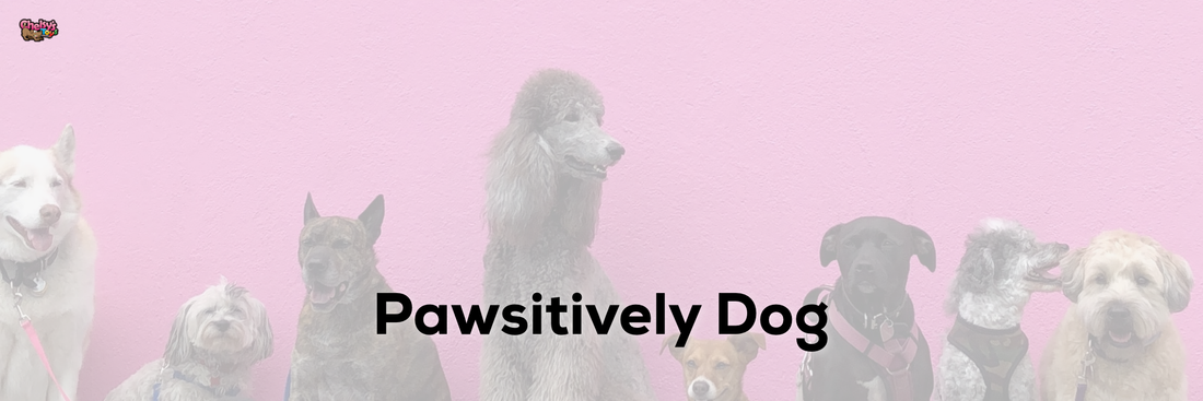 Pawsitively Dog