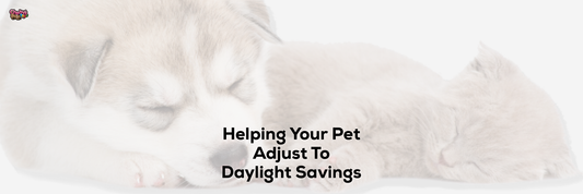 Helping Your Pet Adjust To Daylight Savings