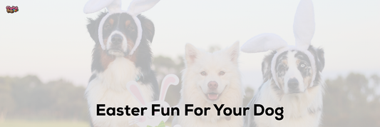 Easter Fun For Your Dog