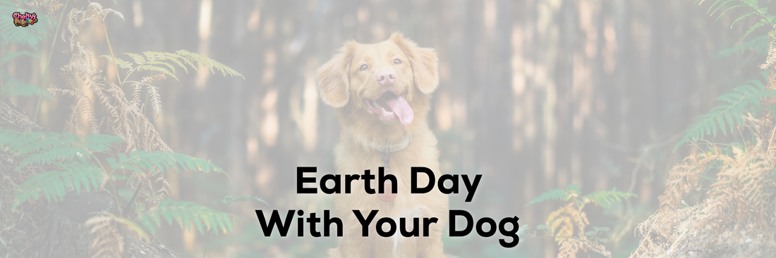 Earth Day With Your Dog
