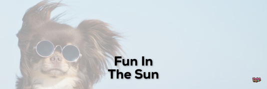 Fun In The Sun