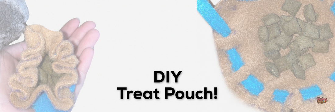 DIY Treat Pouch!