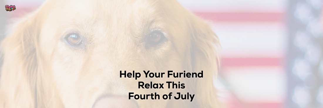 Help Your Furiend Relax This Fourth of July
