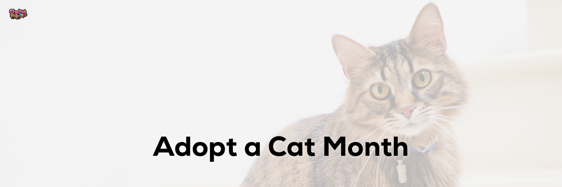 Adopt a Cat Month