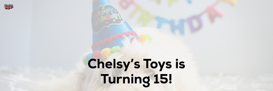 Chelsy's Toys is Turning 15!