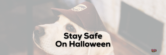 Stay Safe On Halloween