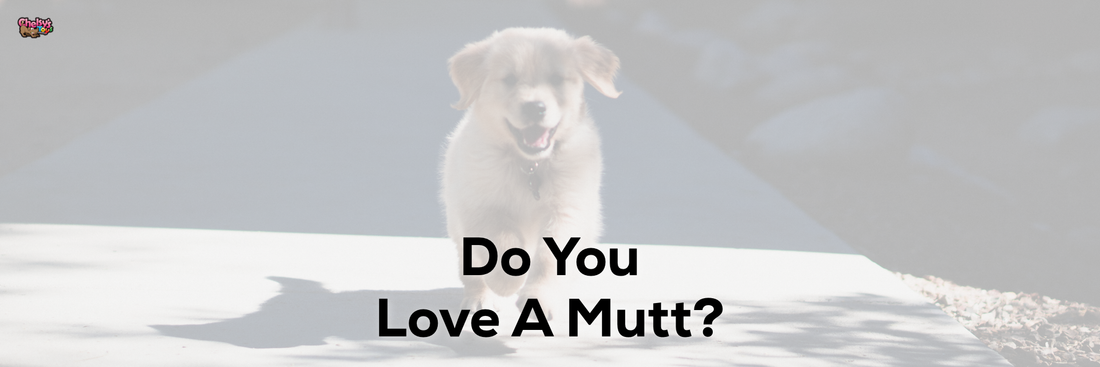 Do You Love A Mutt?