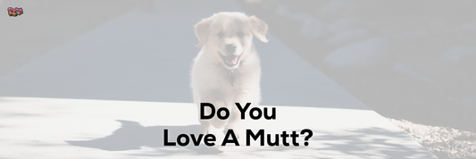 Do You Love A Mutt?