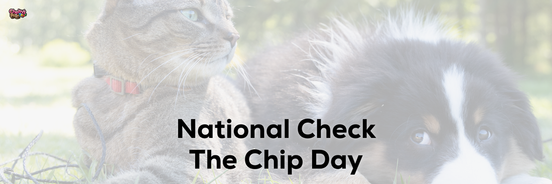 National Check The Chip Day