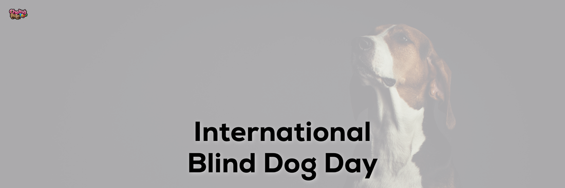 International Blind Dog Day