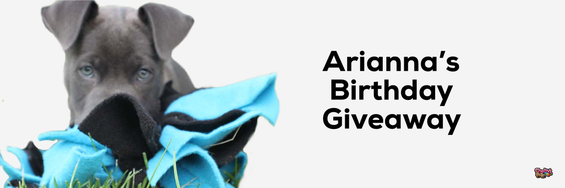 Celebrating Ari's First Birthday