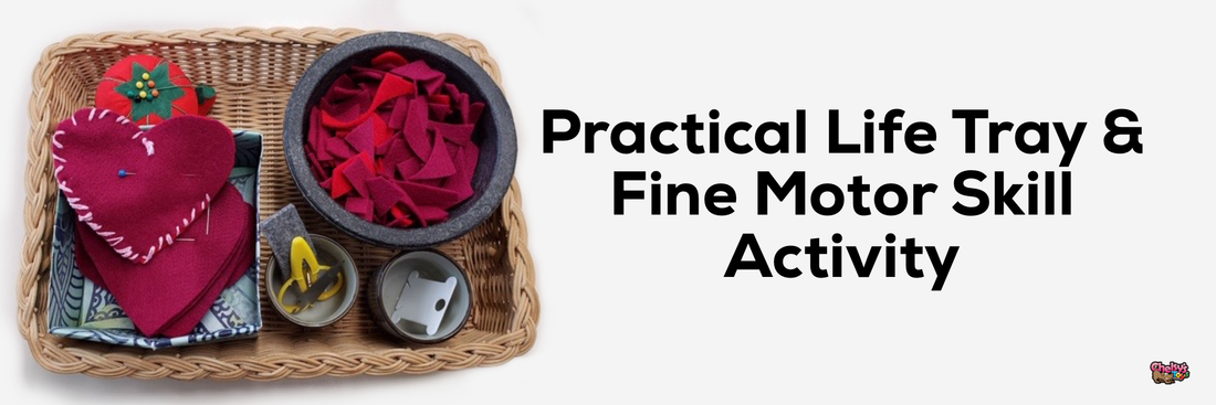 Practical Life & Fine Motor Skill Tray Activity