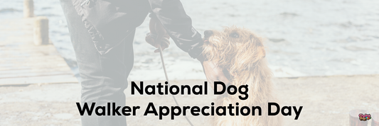 National Dog Walker Appreciation Day